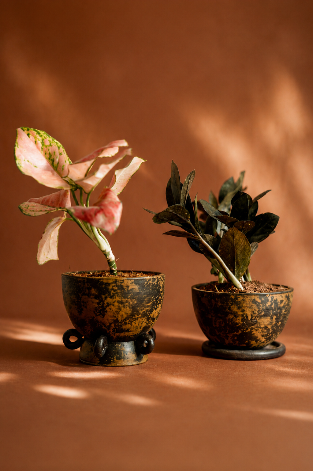Planters