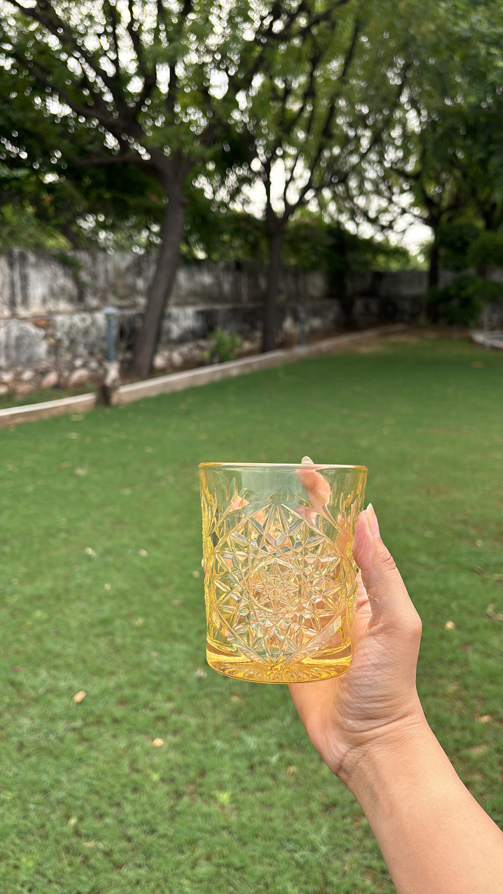 Icon Sol Glasses Set