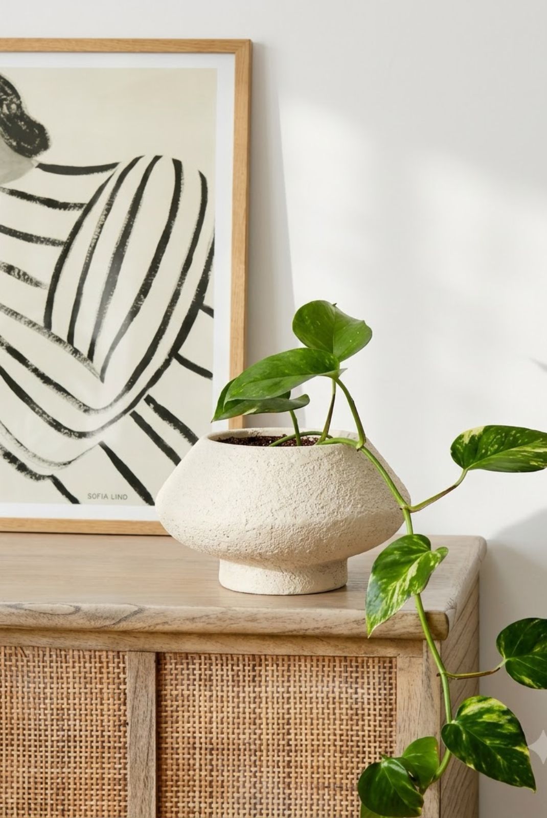 Chalk Textured Ivory Vase