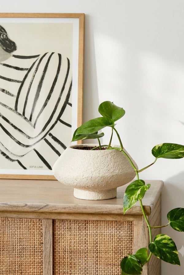 Chalk Textured Ivory Vase