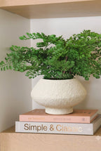 Chalk Textured Ivory Vase