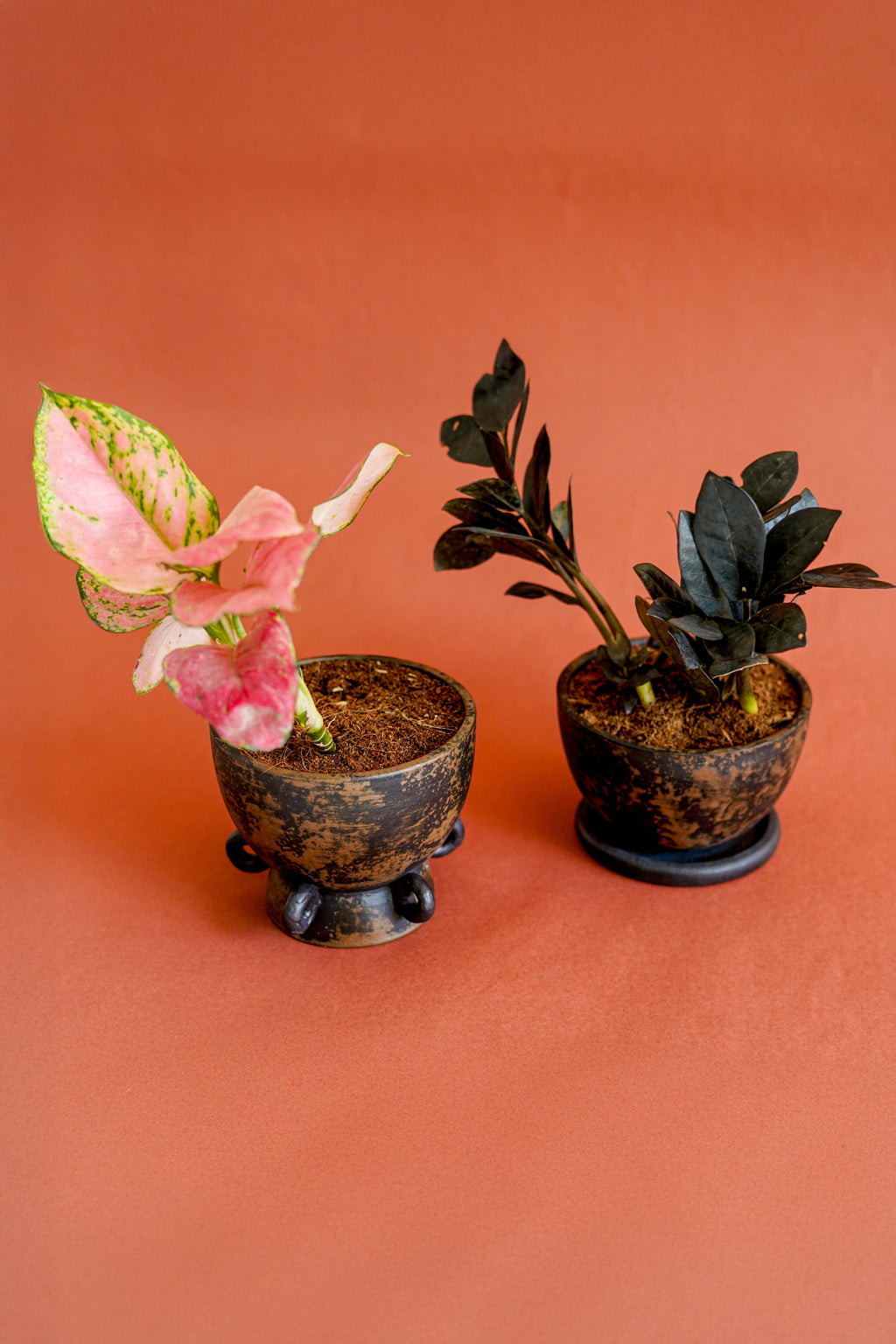 Clay Cop Mini Indoor Planter