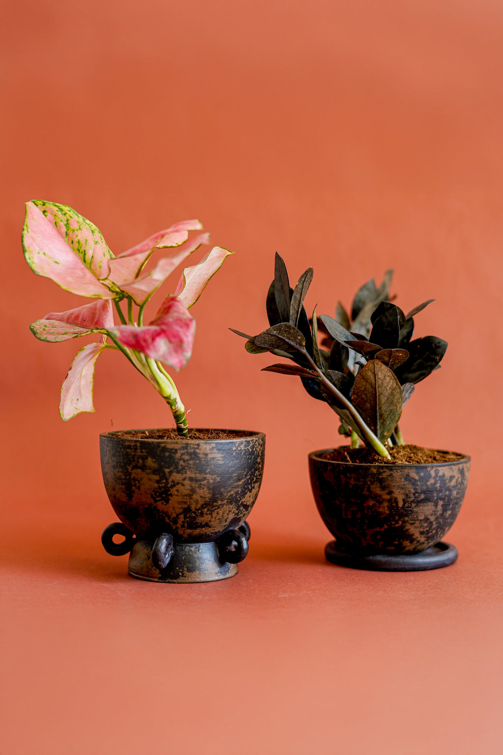 Clay Cop Mini Indoor Planter