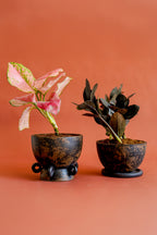 Clay Cop Mini Indoor Planter