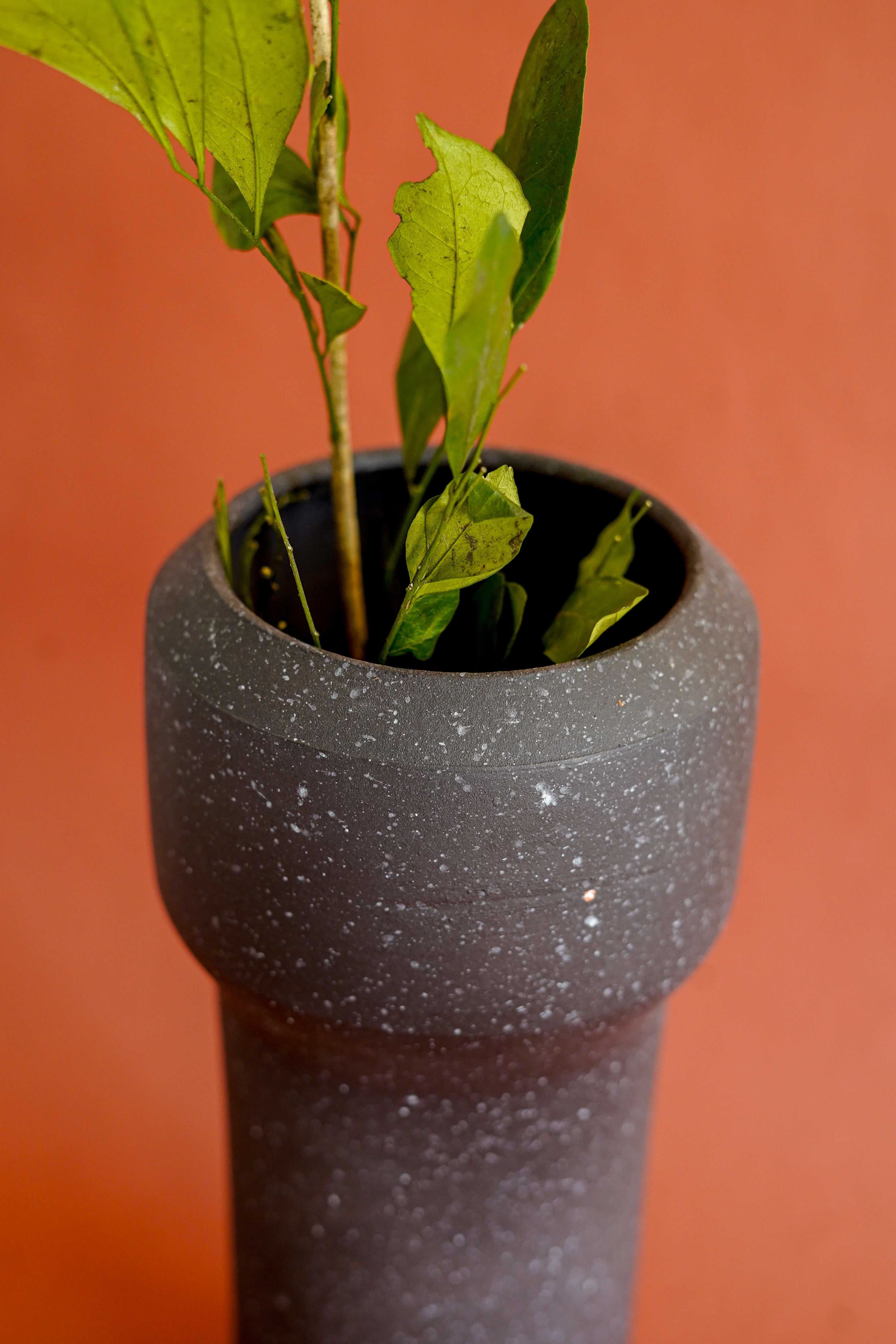 Terra Speckled Brown Vase