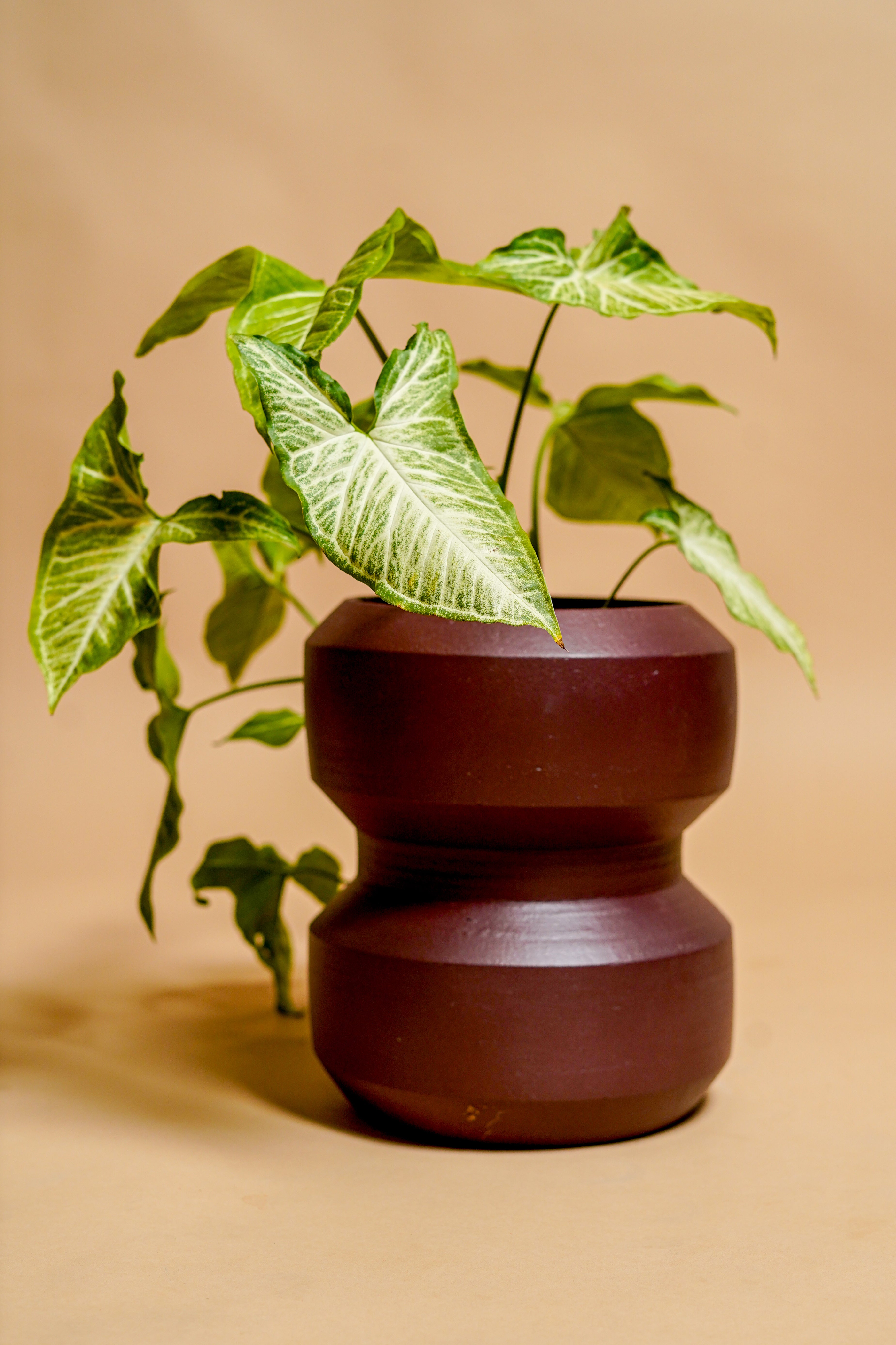 Monolith Terracotta Planter