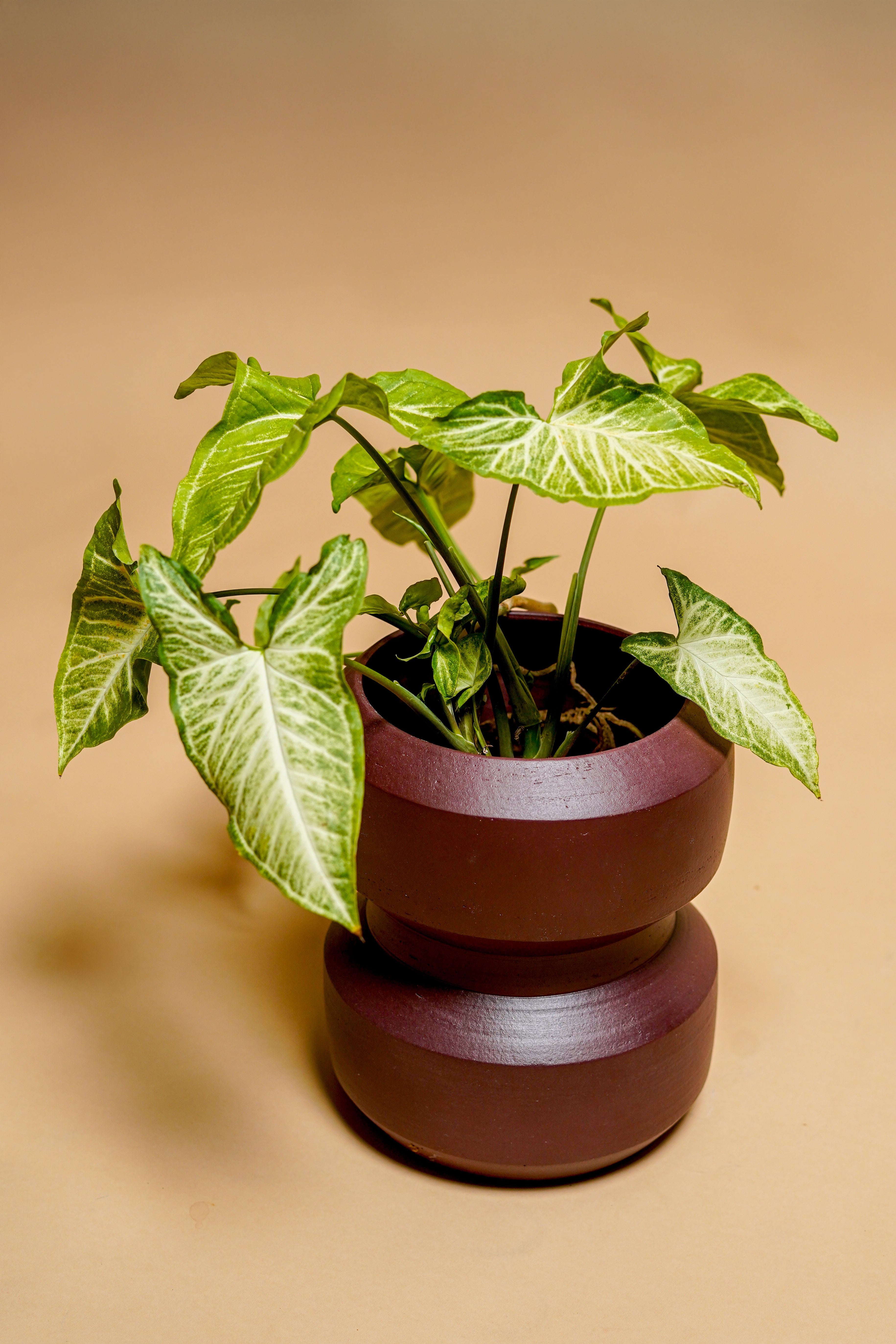 Monolith Terracotta Planter