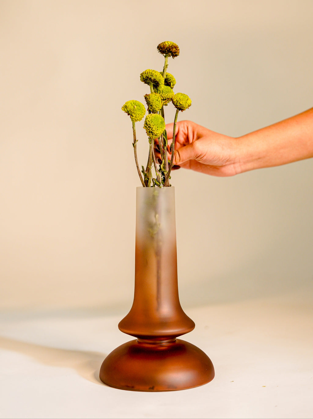 Grace Glass Vase, Coloured