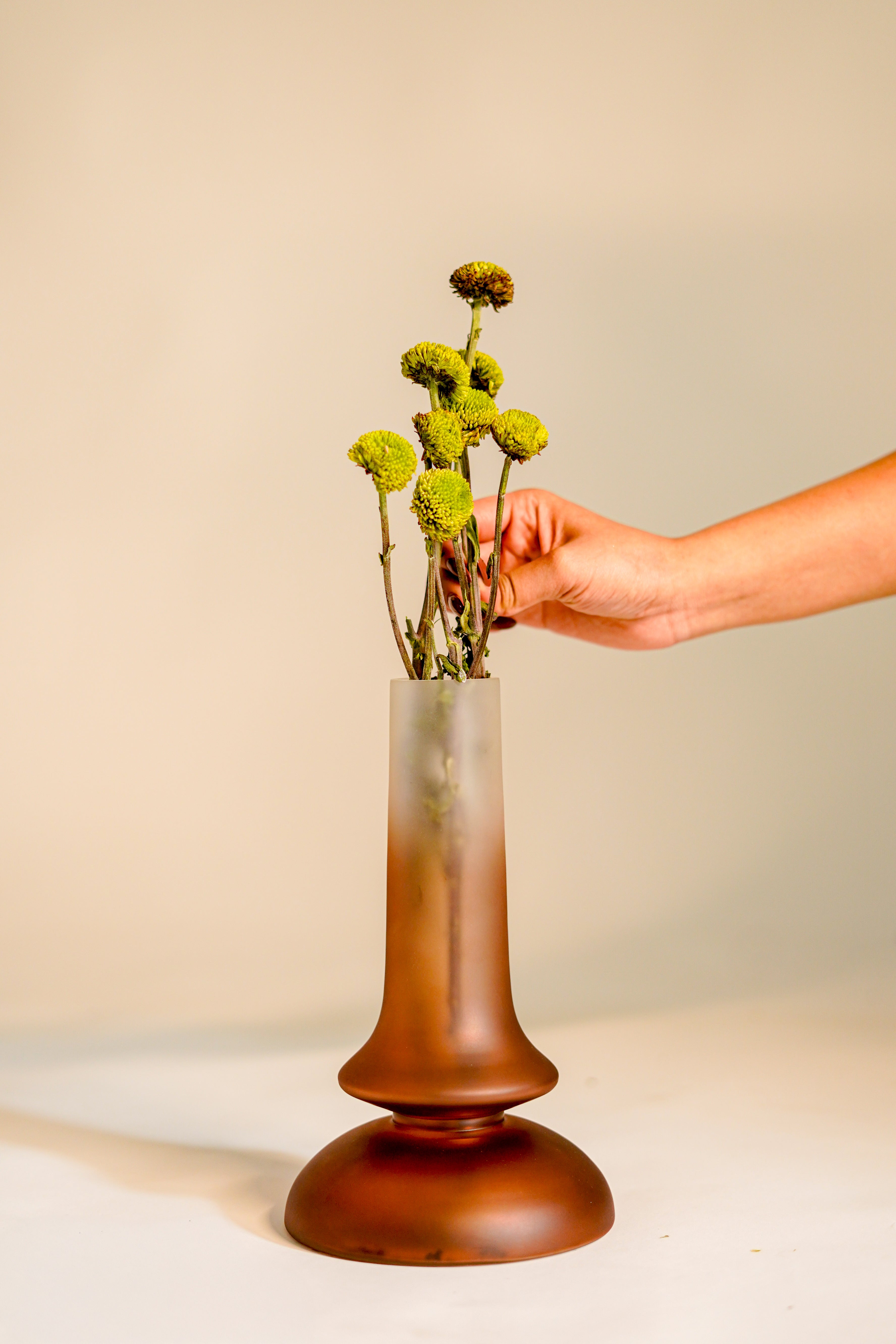 Grace Glass Vase, Coloured