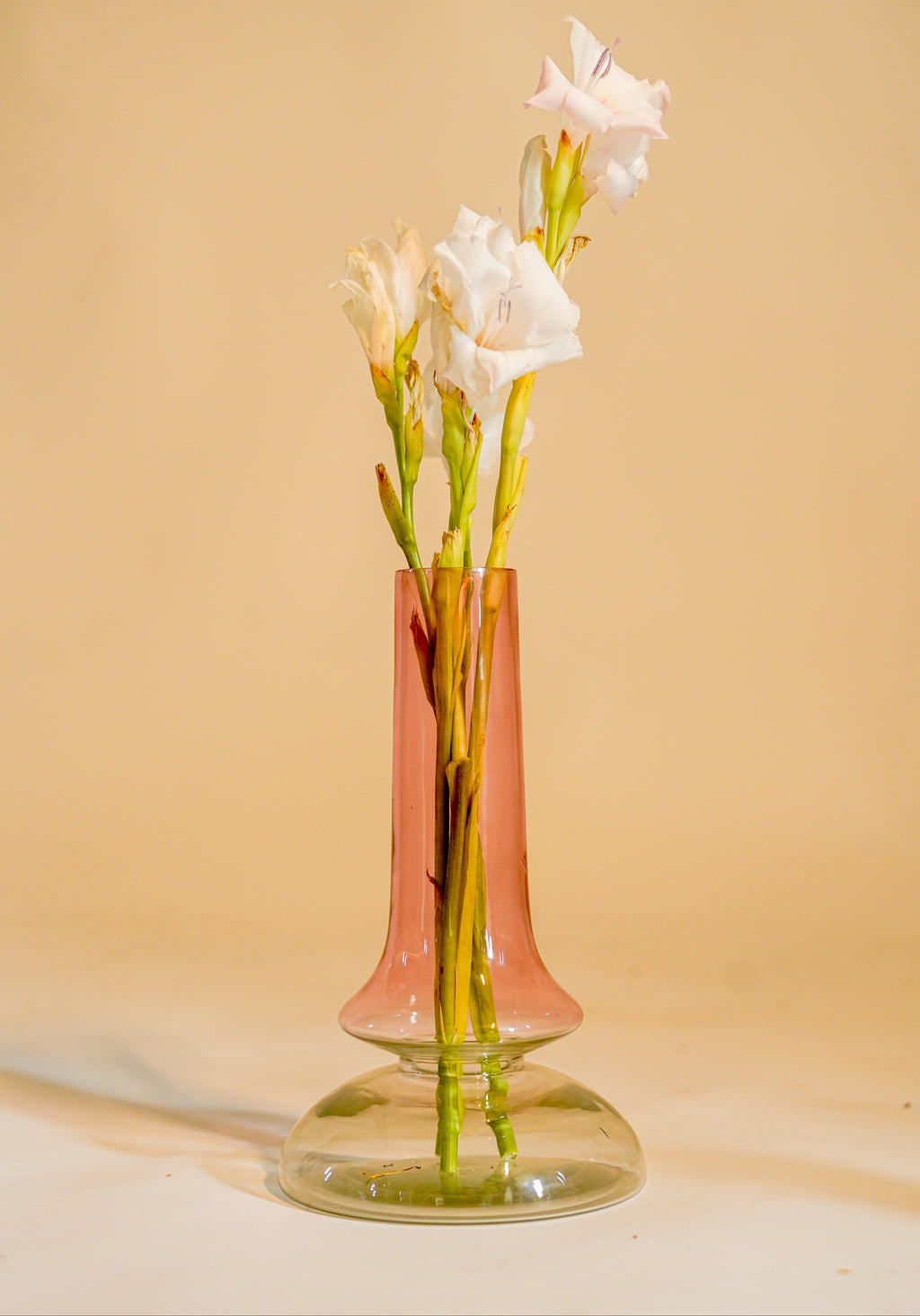 Grace Glass Vase, Coloured