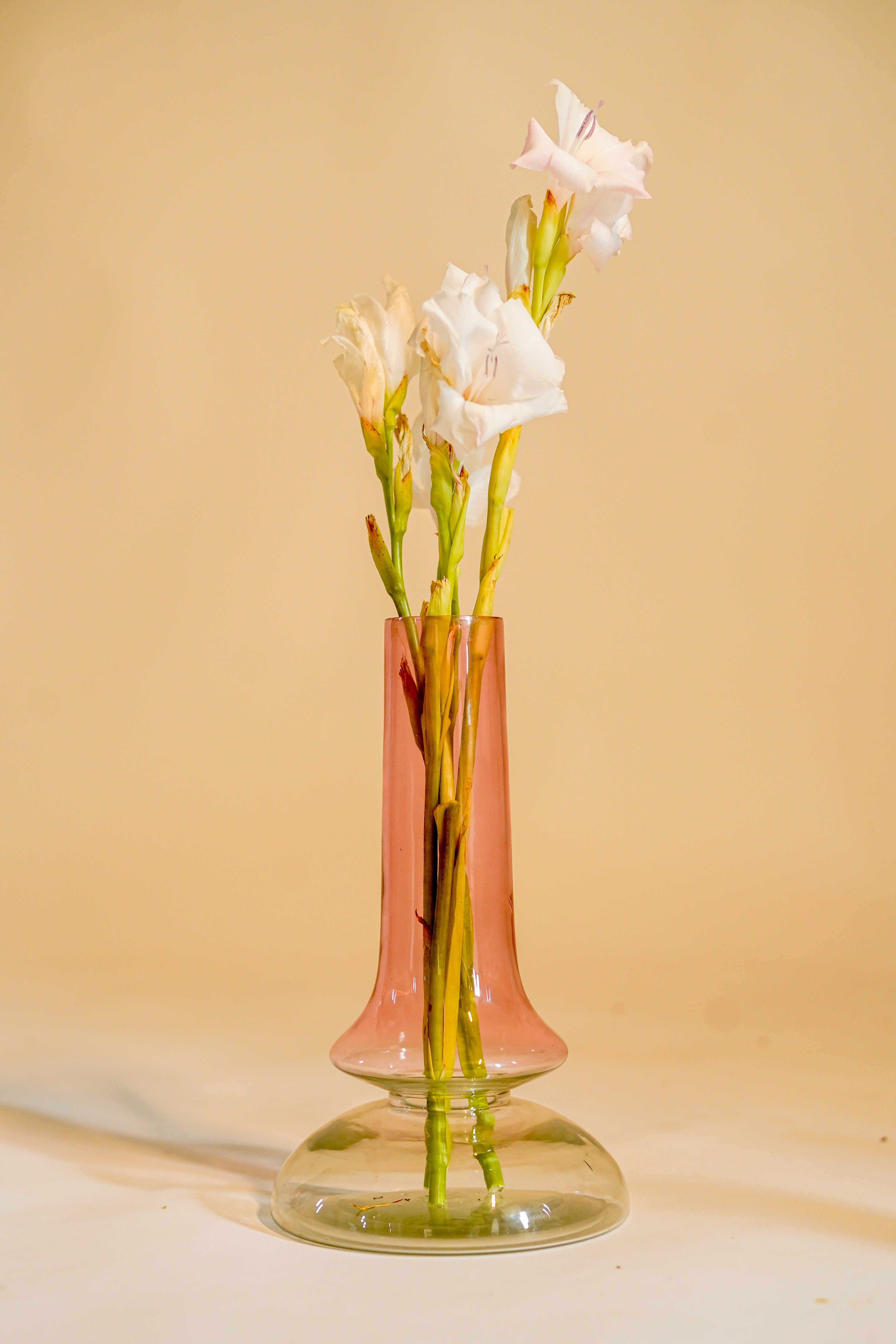 Grace Glass Vase, Coloured
