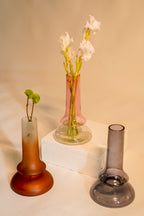 Grace Glass Vase, Coloured