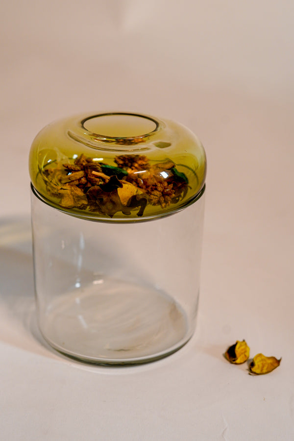 Bubble Glass Vase Set