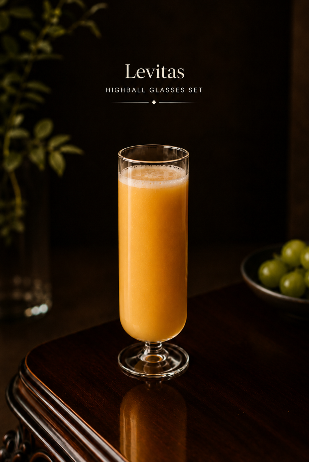 Levitas Highball Glasses Set