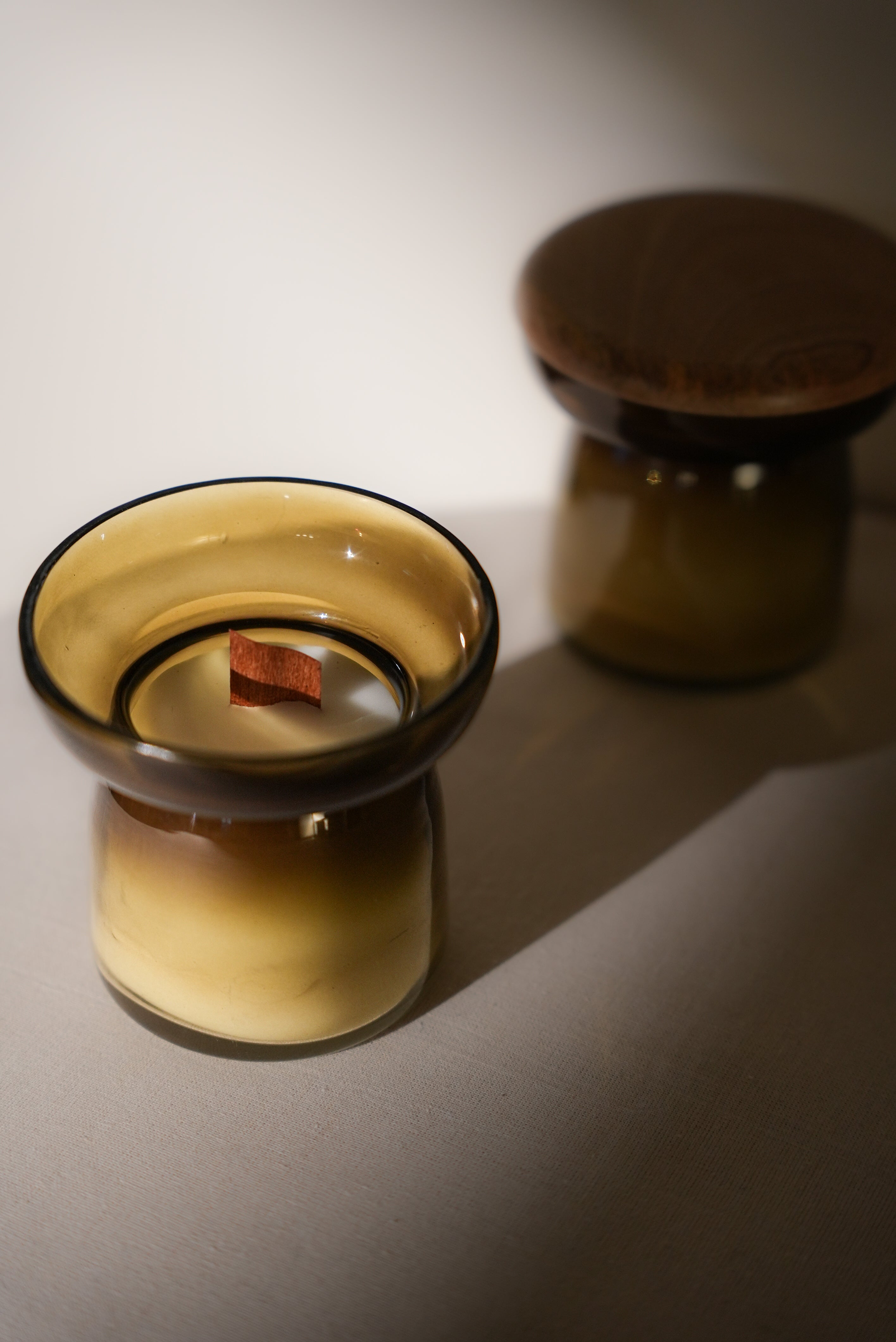 Elara Eucalyptus Scented Candle