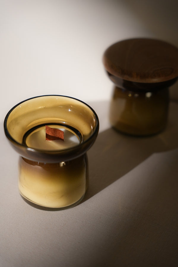 Elara Eucalyptus Scented Candle